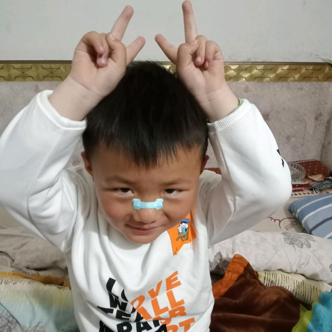 只因今生恨红尘