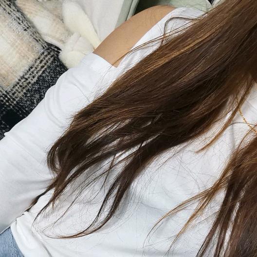 天花板小郑家