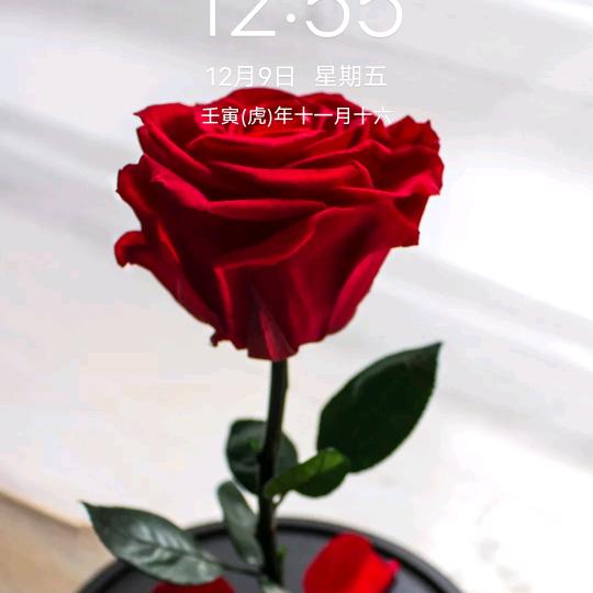 逍遥自在、