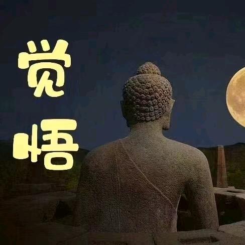 激流有劲