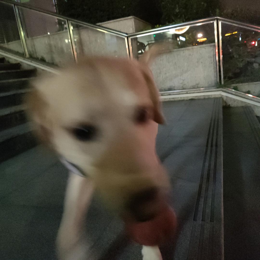 一本正经的道老师儿～