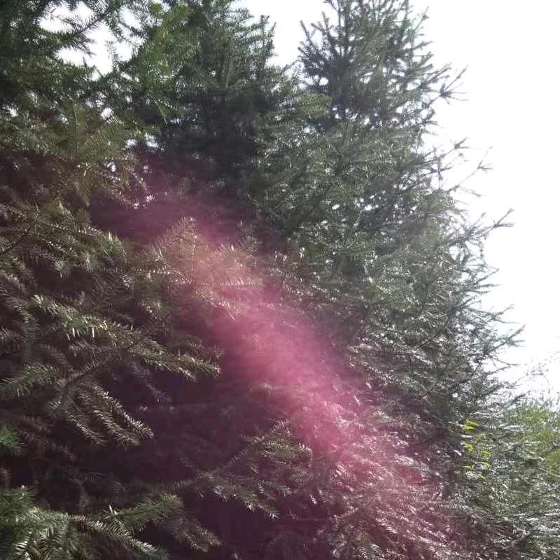 大老板