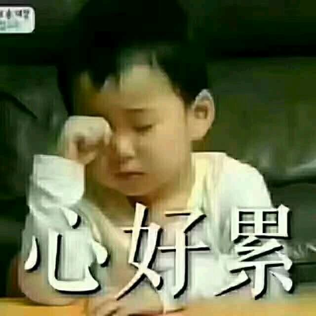 赵z