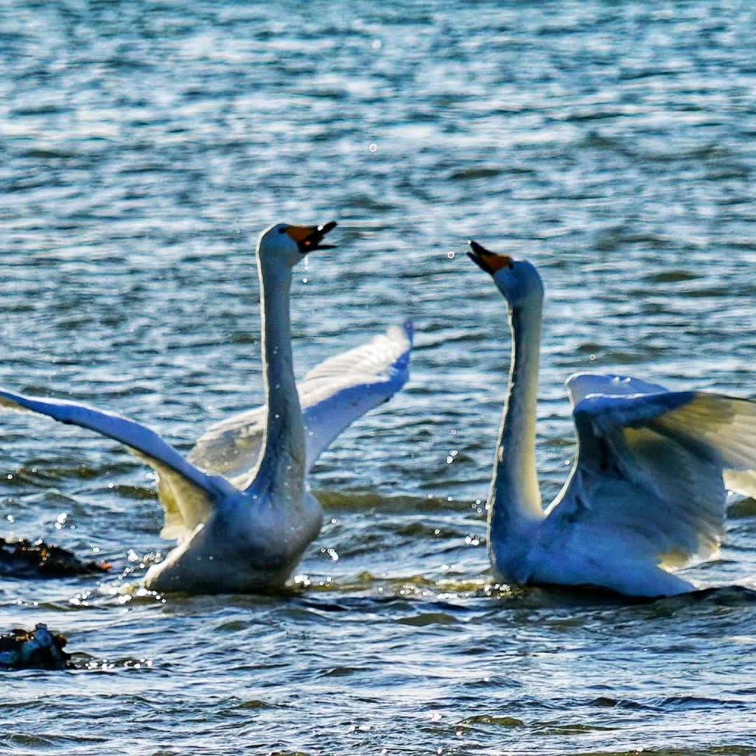 为了美好生活，加油