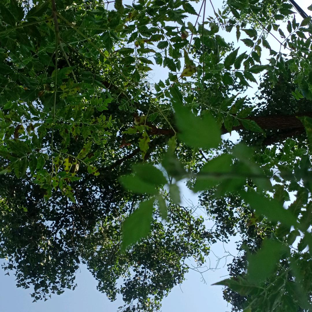 爱惜自己