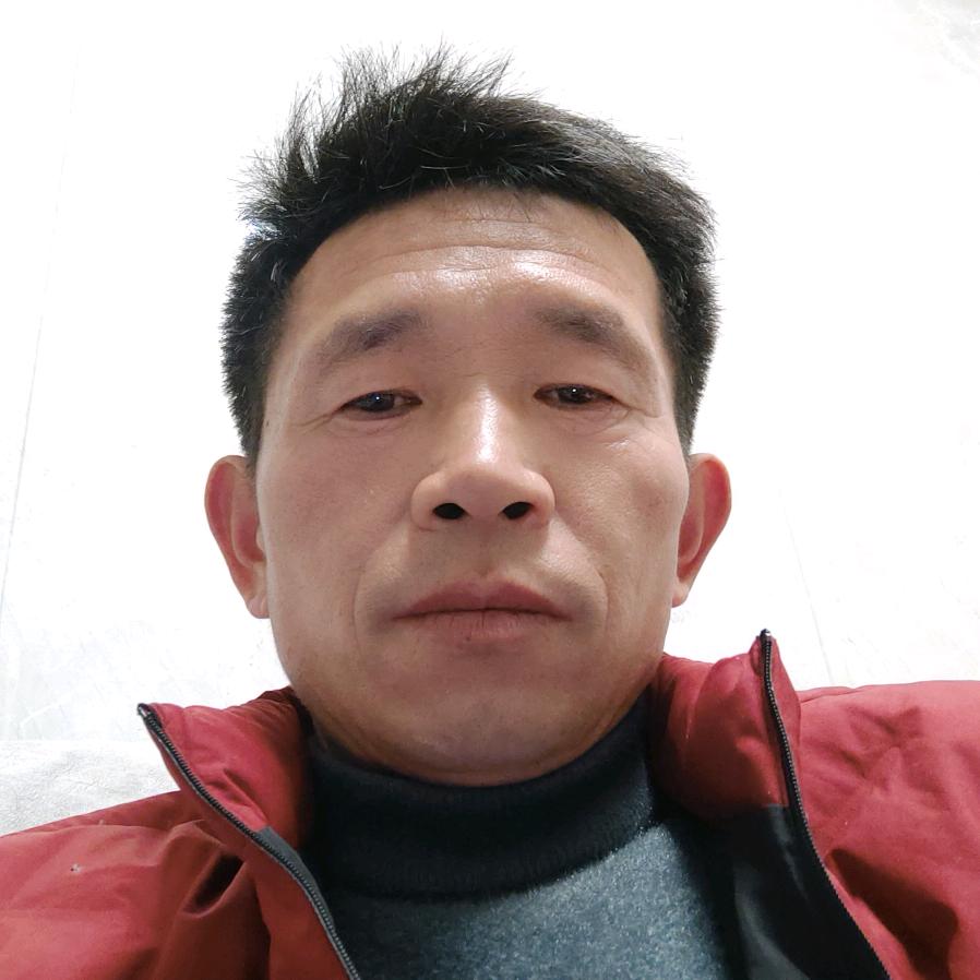 红枫落叶