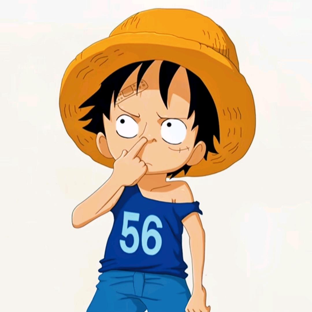 遇见🍊海