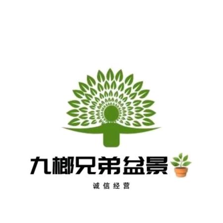 九榔兄弟盆景
