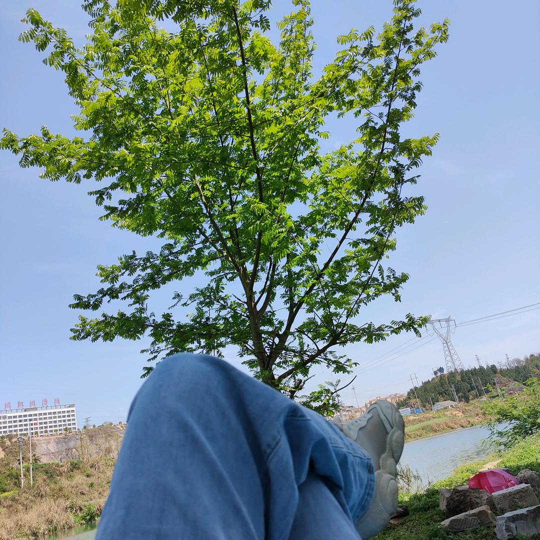 红🍎🍎