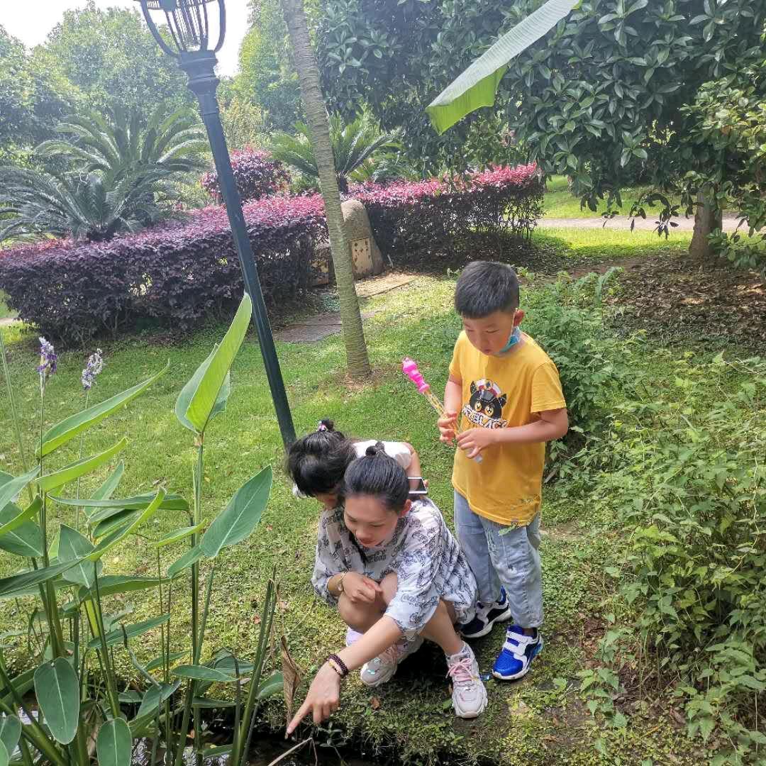 A 艳 （拒绝连赞）