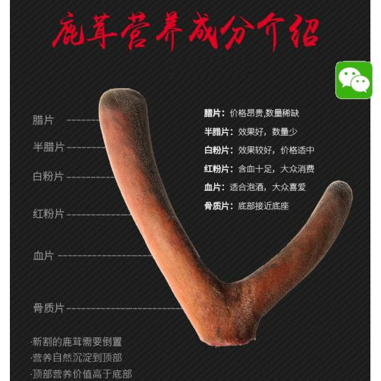 呦呦鹿