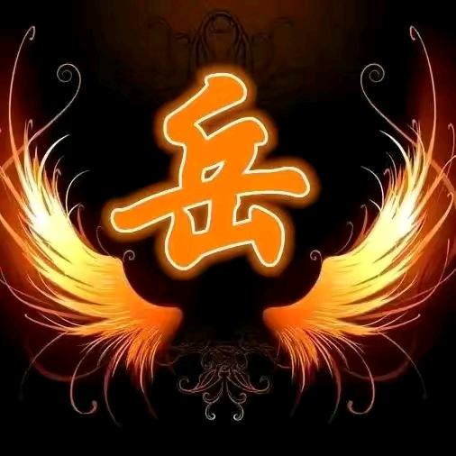 上天揽岳