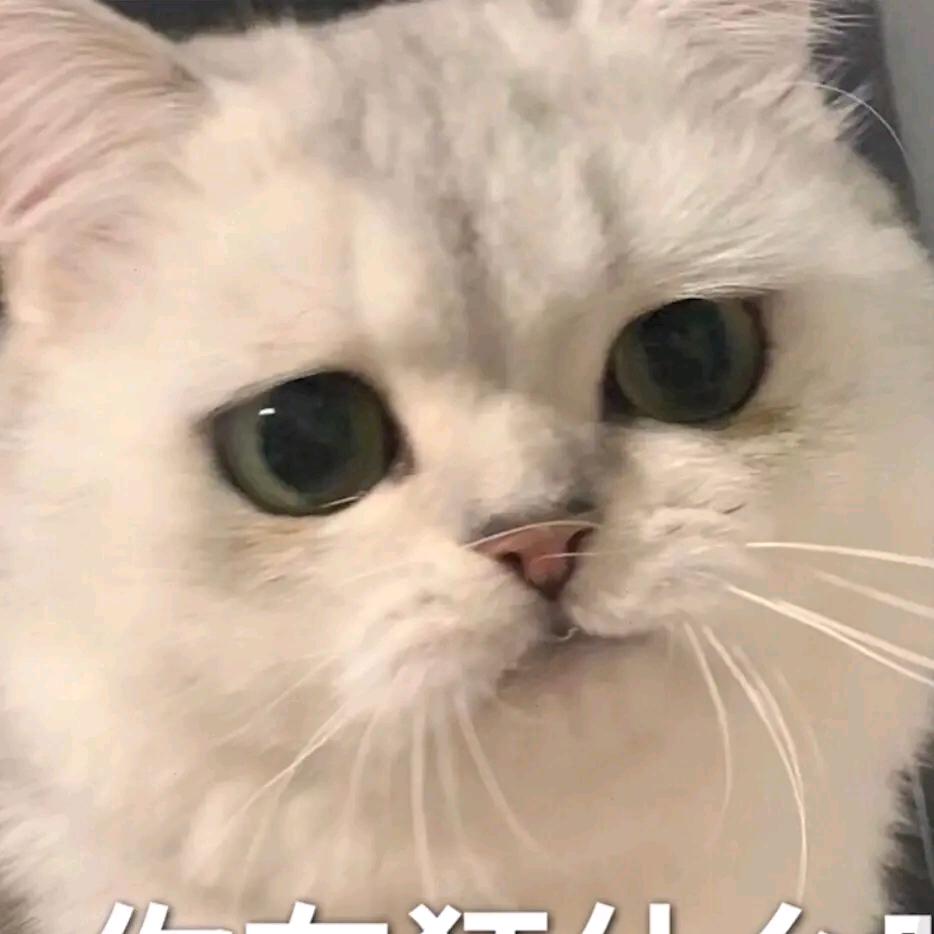 顾曦