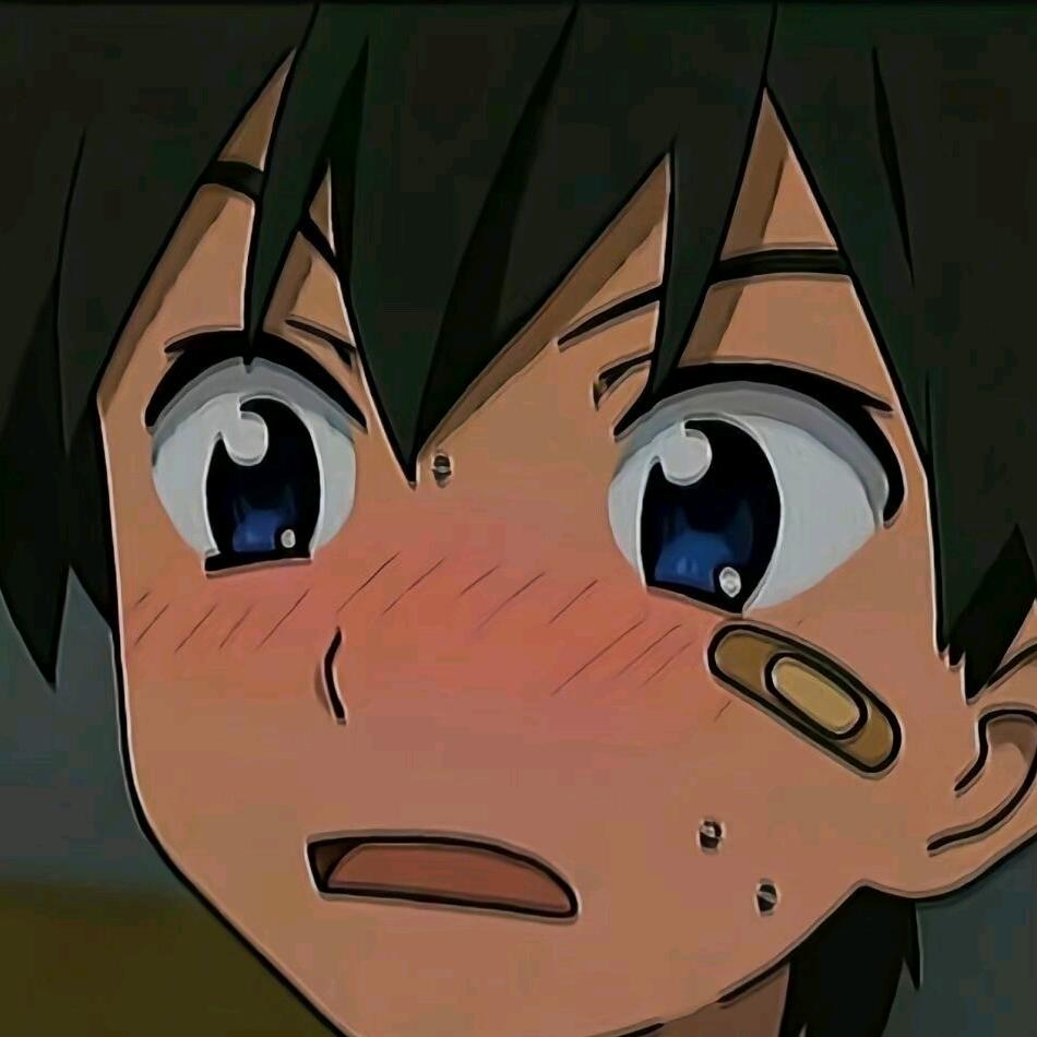 45378512