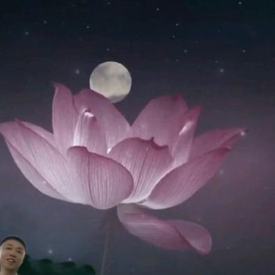 🙏仙缘堂🙏小涛