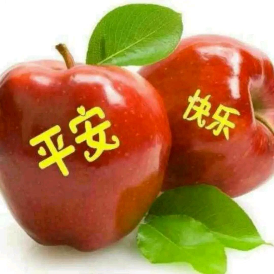 用户贺