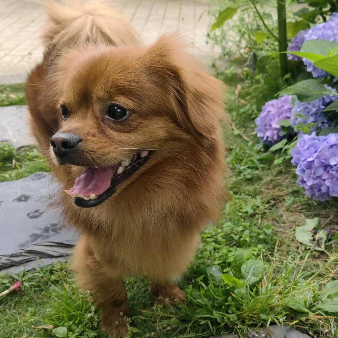 賴世忠酱香白酒陪你走