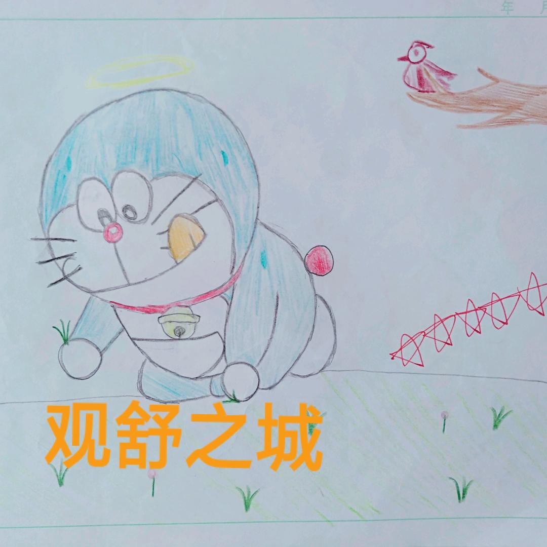 观舒之城