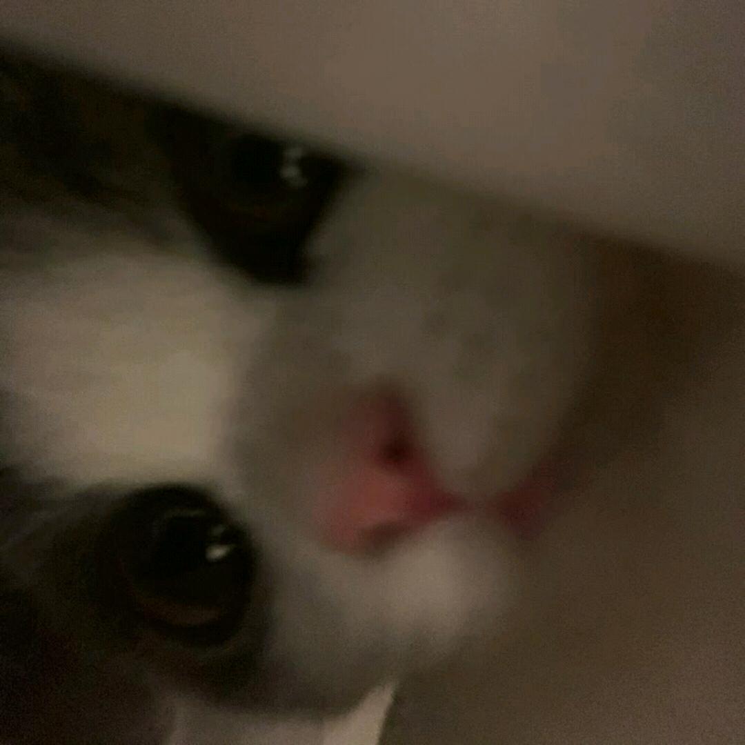 ㅤㅤㅤ ㅤㅤㅤ
