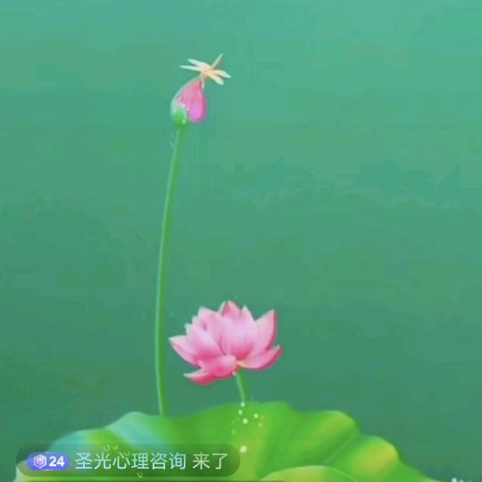 心理师王平