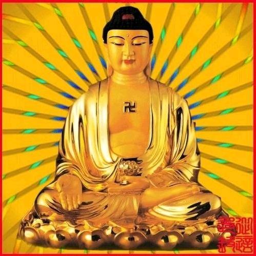 8️⃣号当铺🤗