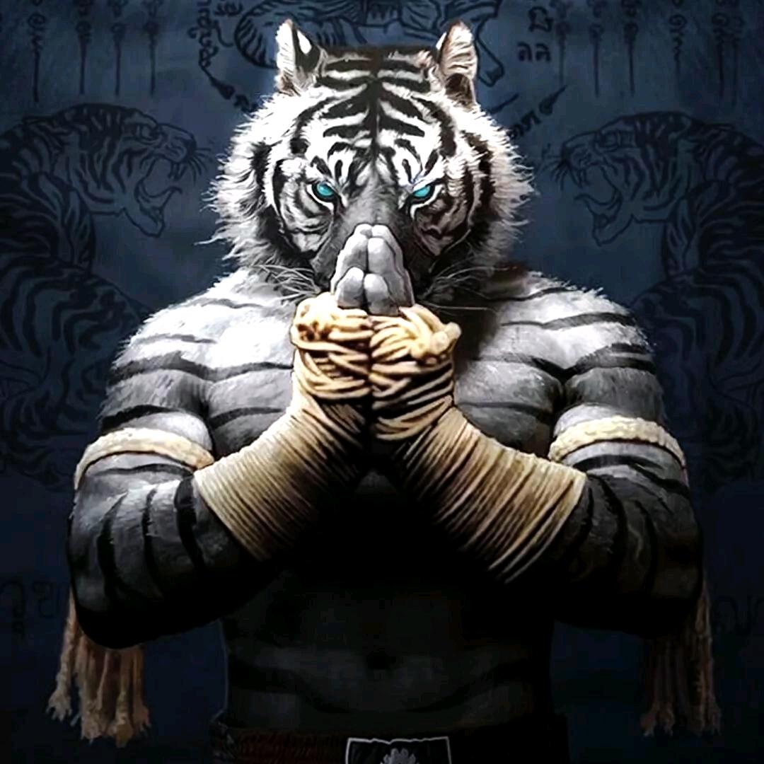 尘缘随风