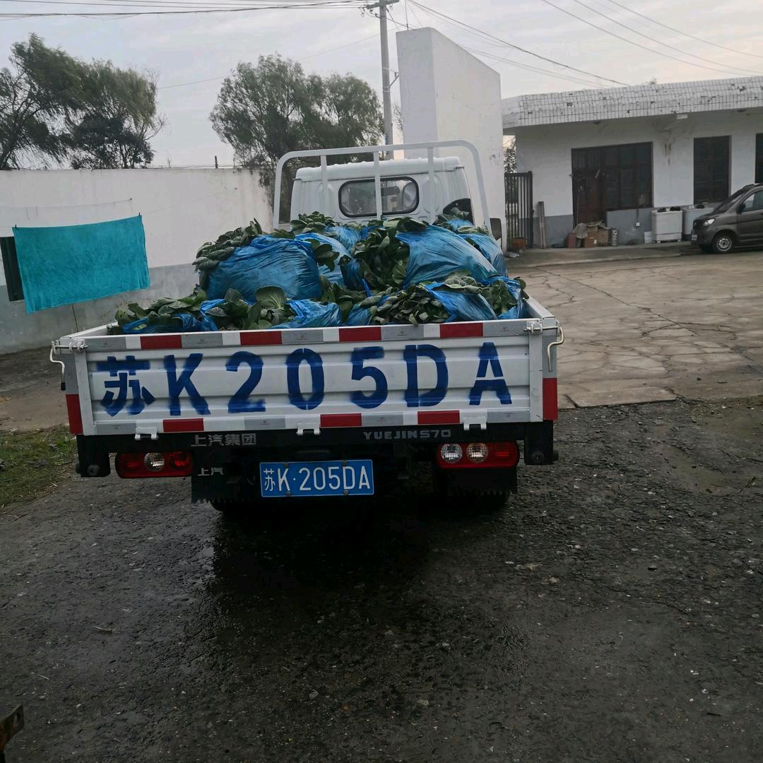 用户唐永正扬梓农民专业合作社