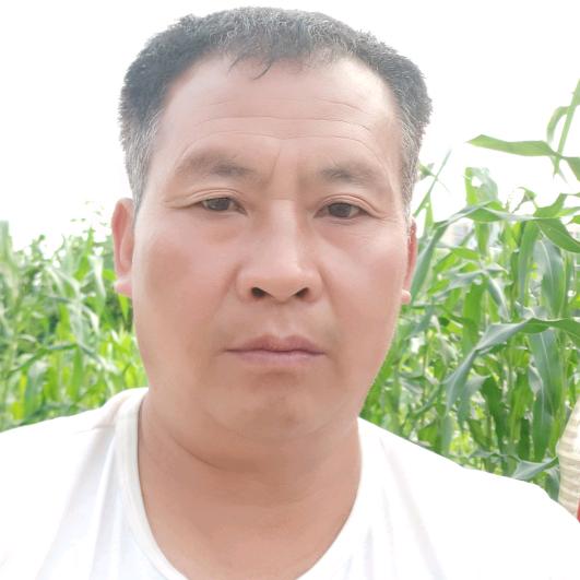 正志车行信息咨询工作室