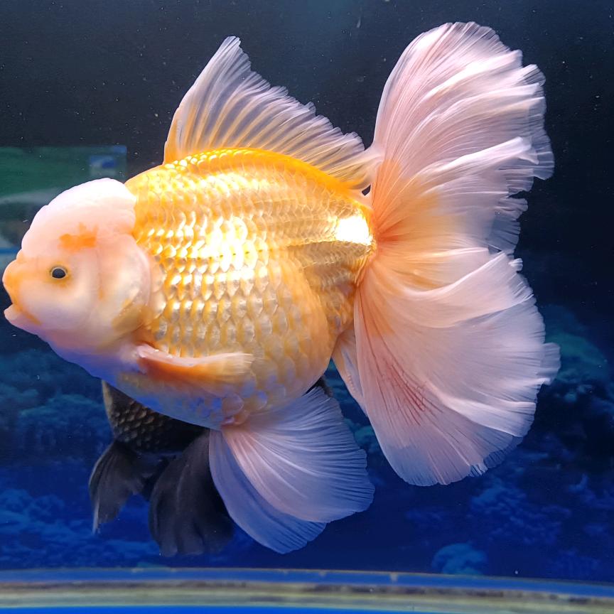 下楼活动活动