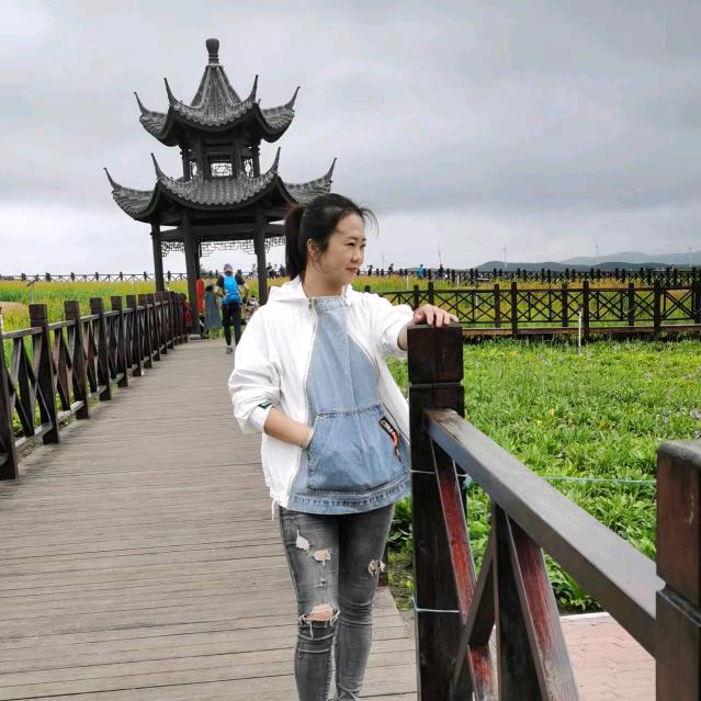 鑫淼*