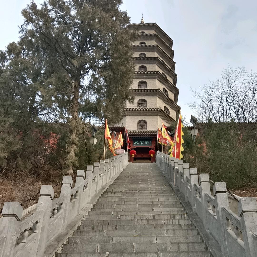 小 泽