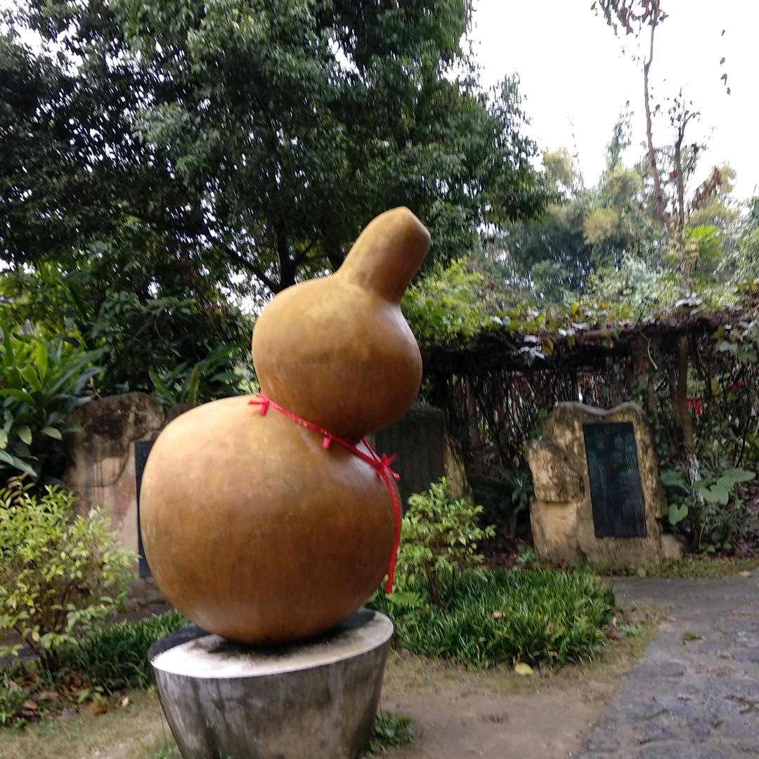 杨叔家常菜