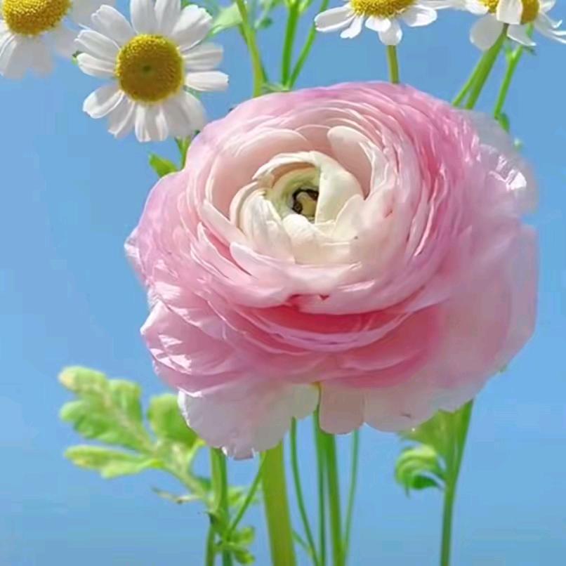 无情的爱