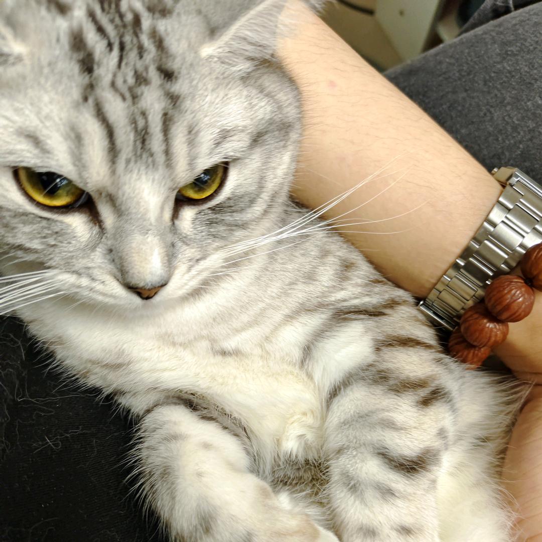 魔王小红红
