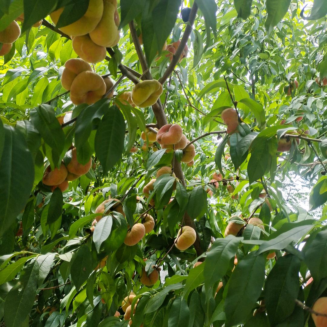 爱我中华，
