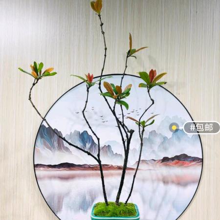 美之园绿植盆景场