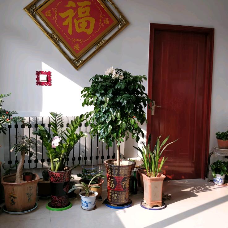 乐在棋中.