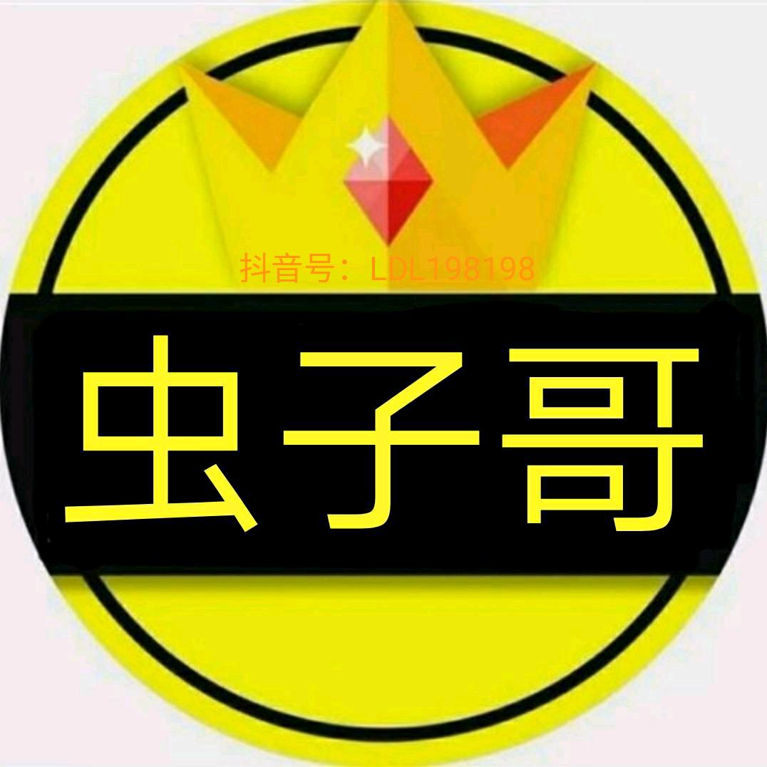 虫子哥