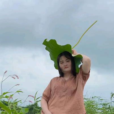 时间都去哪了