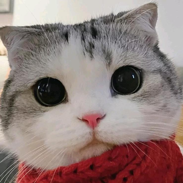 青丝拂艳裳