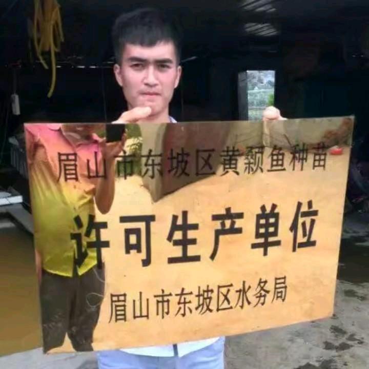 小郭鱼苗