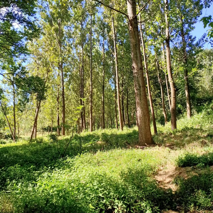 海阔天空，思恒吉祥！