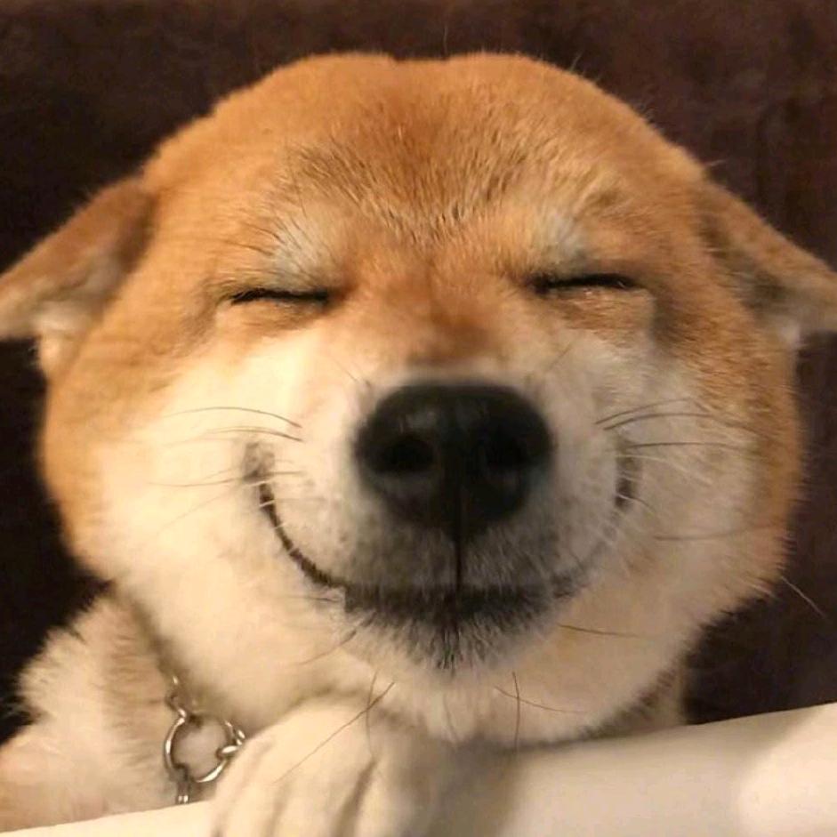 如花