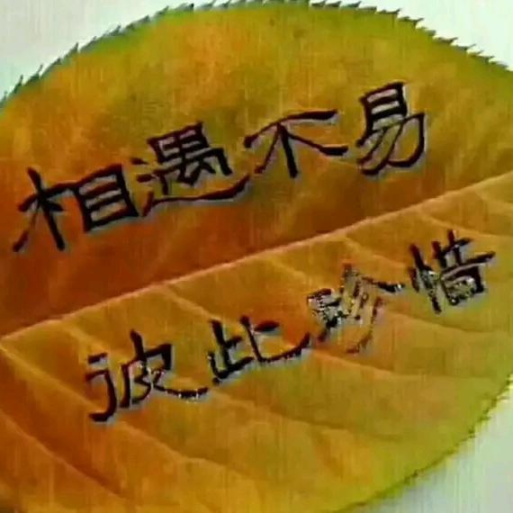 人生别太拼