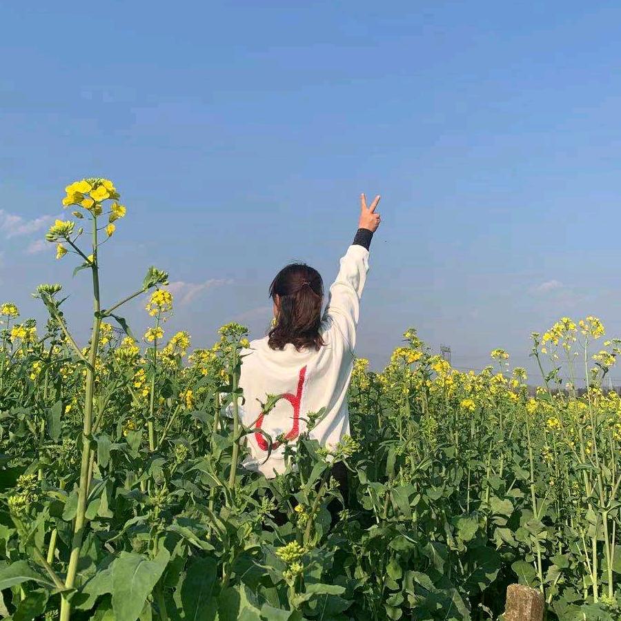 慕