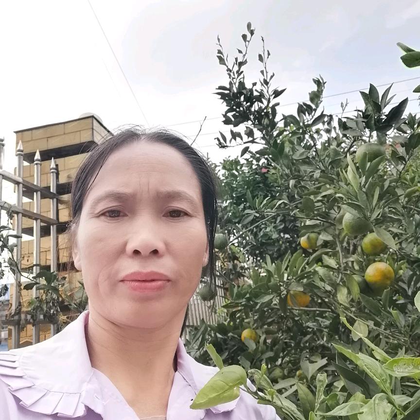 羊妹儿