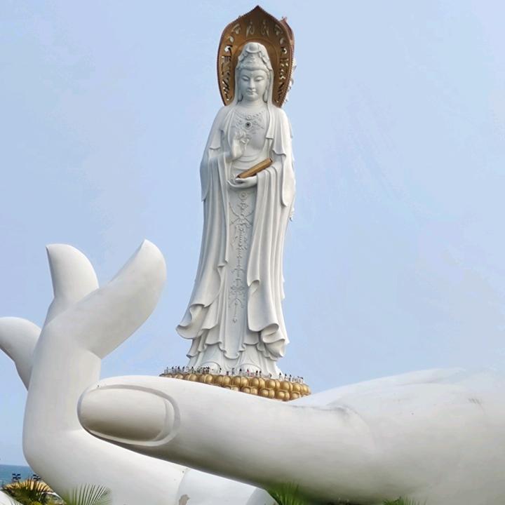 海南保定人