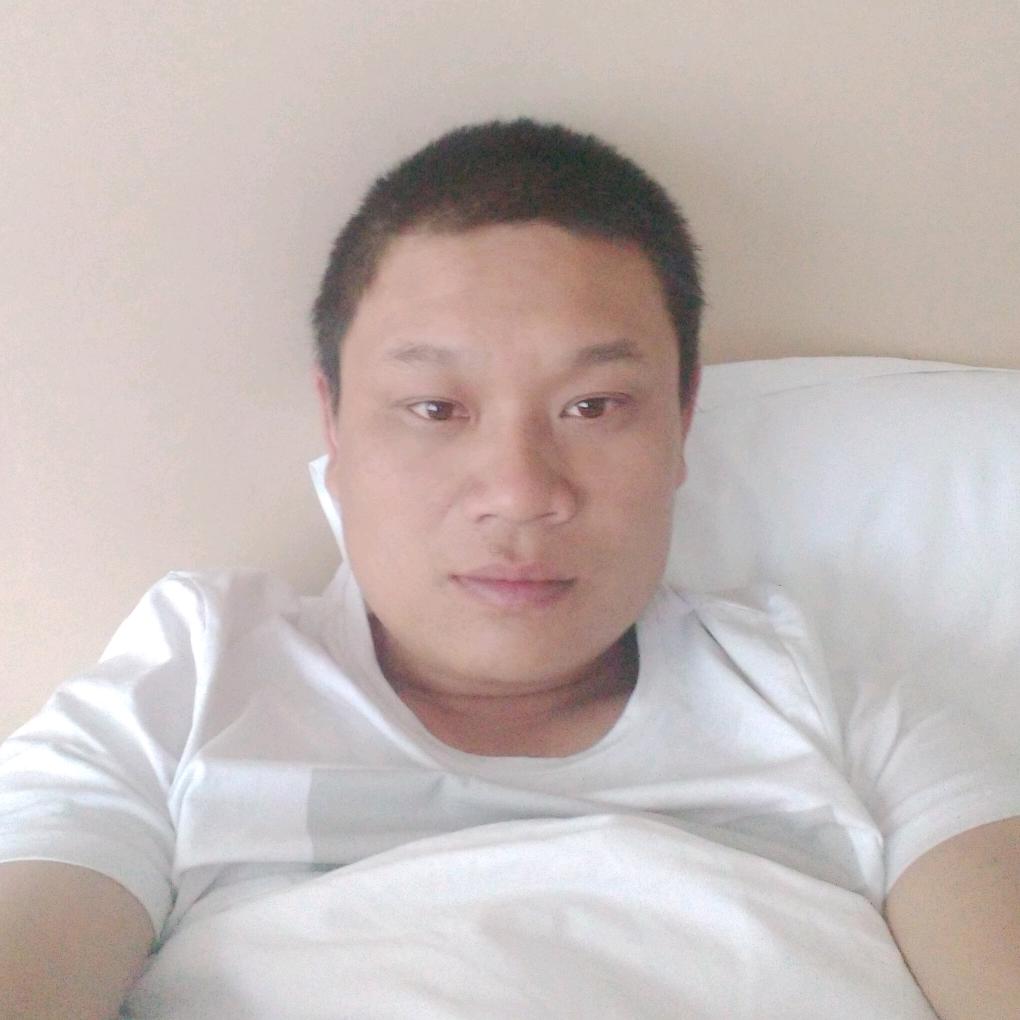 鹤舞飞翔