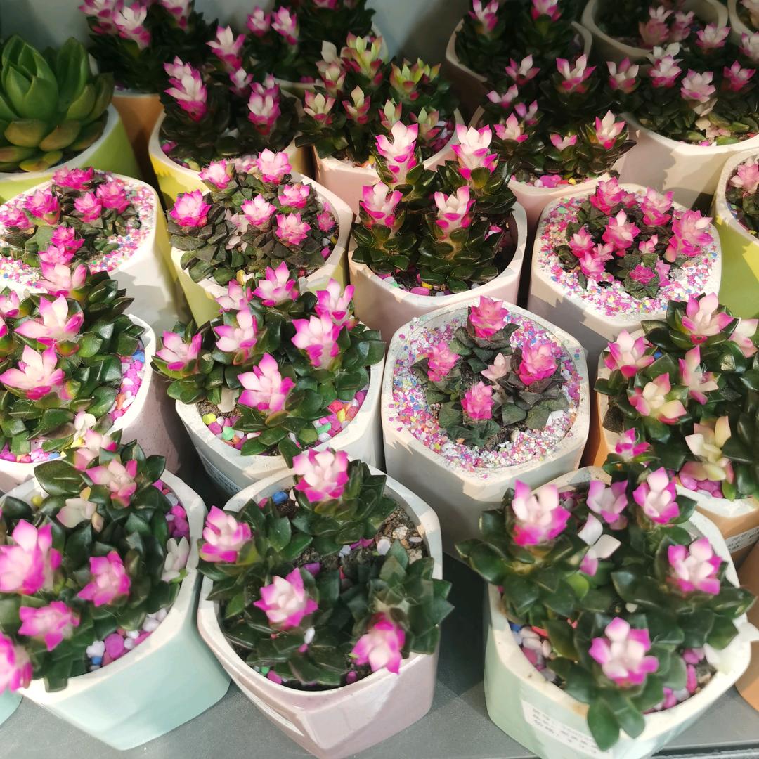 @健康最重要