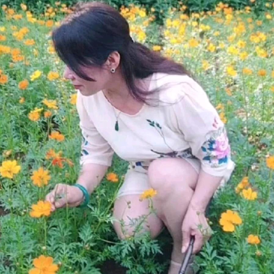 清幽兰